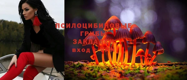 мдпв Беломорск